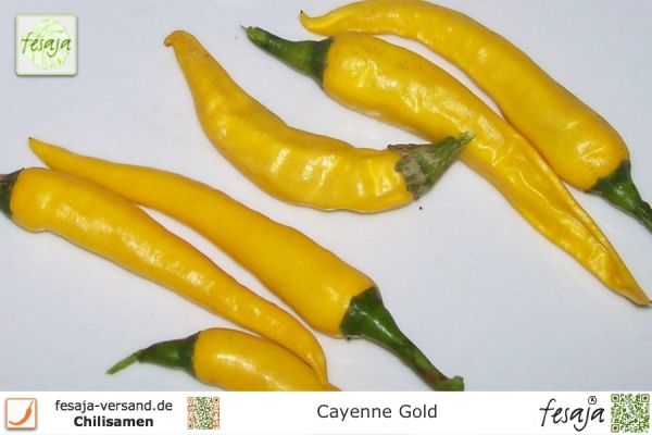 Cayenne Gold