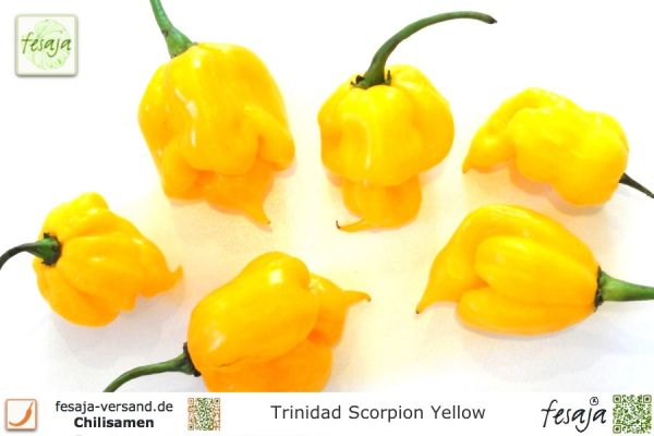 Trinidad Scorpion Yellow