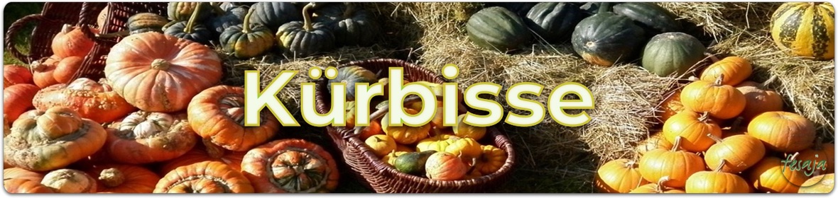 Kürbis Samen