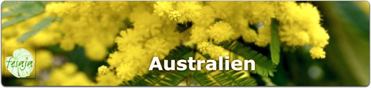 Australische Pflanzen, Samen