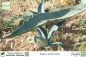 Preview: Agave americana, Amerikanische Agave, Hundertjährige Agave, Century-Plant, Pflanzen