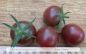 Preview: Tomate Black Cherry