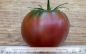 Preview: Tomate Black Krim
