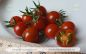 Preview: Tomate Johannisbeertomate Rot