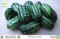 Preview: Mexikanische Minigurke, Melothria scabra