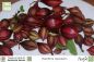 Preview: Passiflora capsularis 'Vanilla Cream'