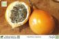 Preview: Passiflora ligularis Pflanzen