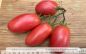 Preview: Tomate Rumänische Flaschentomate