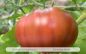 Preview: Tomate Schwarze Sarah