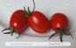 Preview: Tomate Sweet Olive