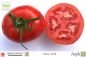 Preview: Tomate Heinz 1439