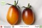 Preview: Tomate Indigo Kumquat