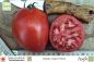 Preview: Italian Giant Plum · Tomaten · Samen