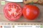 Preview: Tomate Italienische Buschtomate