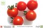 Preview: Tomate Mexikanische Honigtomate