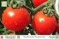 Preview: Tomate Mexikanische Honigtomate