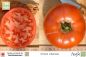 Preview: Tomate Omars Libanese
