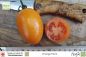 Preview: Tomate Orange Plum