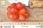 Preview: Tomate Reisetomate