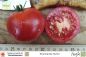 Preview: Tomate Rheinlands Ruhm