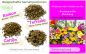 Preview: Beetromantik · Wildblumen Mischung