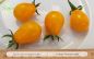 Preview: Tomate Yellow Pearshaped