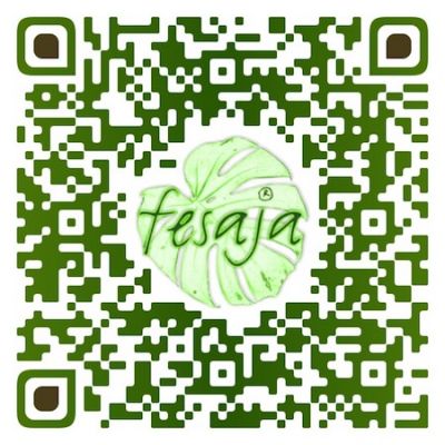 Beifuß, Artemisia vulgaris QR