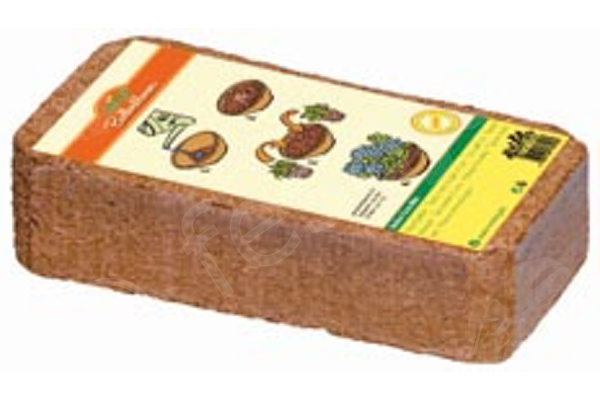 Kokos Quellerde, Kokohum