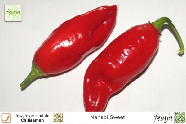Manabi Sweet, Capsicum, Chili
