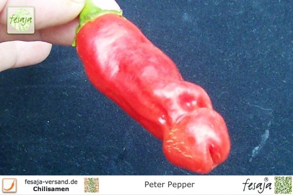 Chili Peter Pepper