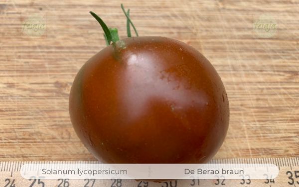 Tomate De Berao Braun