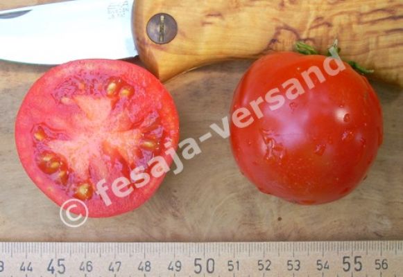 Tomate: Liebesapfel (Tomatensorte)