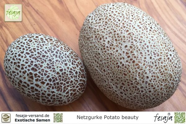 Netzgurke Potato beauty