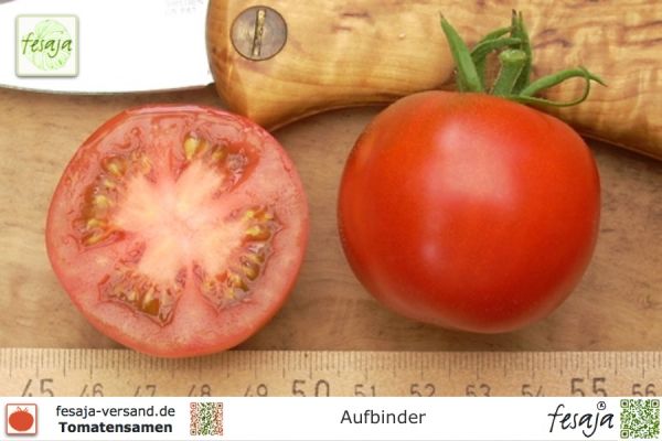 Tomate Aufbinder