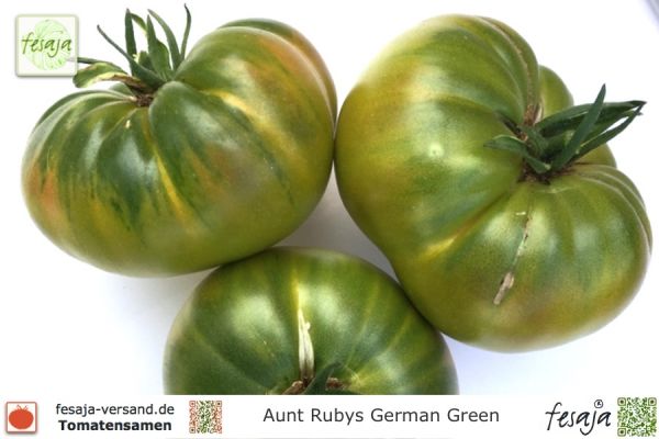 Tomate Aunt Rubys German Green