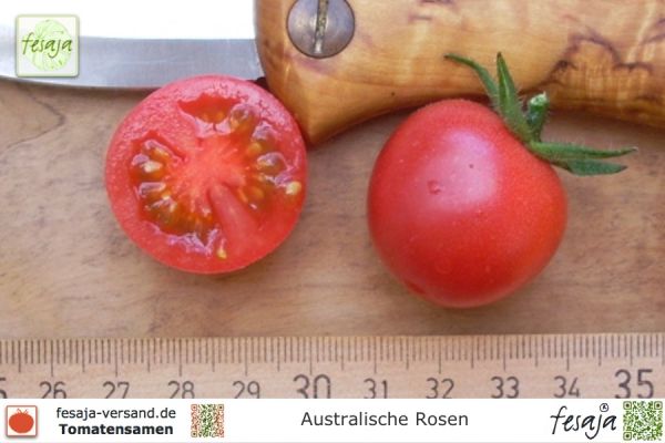 Tomate Australische Rosen