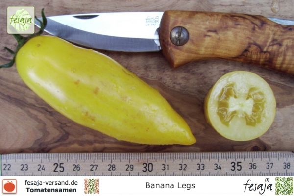 Tomate Banana Legs