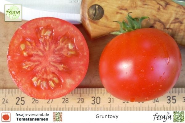 Tomate Gruntovy