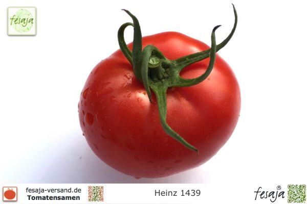Tomate Heinz 1439