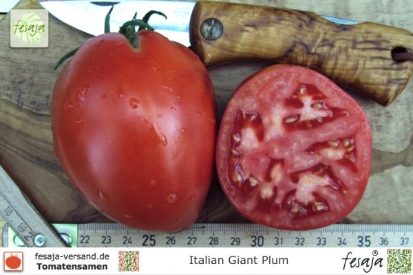 Italian Giant Plum · Tomaten · Samen
