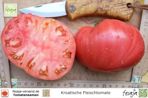Tomate Kroatische Fleischtomate