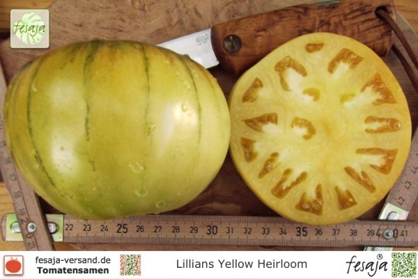 Tomate Lillians Yellow Heirloom