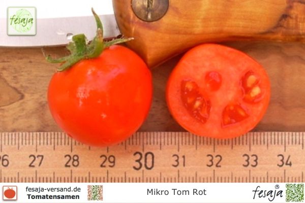 Tomate Mikro Tom Rot