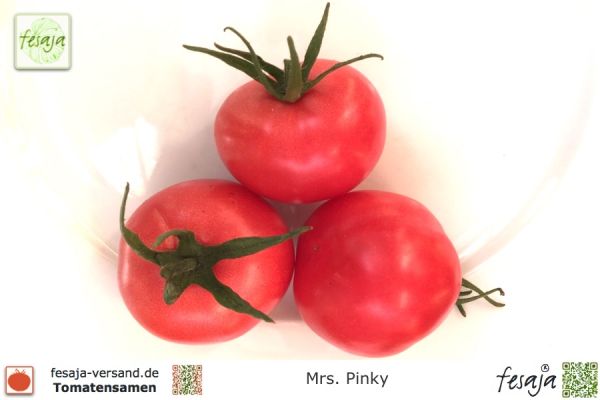 Tomate Mrs. Pinky