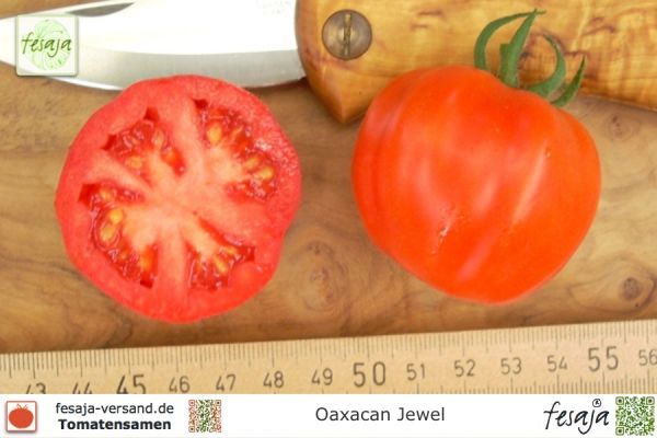 Tomate Oaxacan Jewel