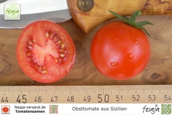 Tomate Obsttomate aus Sizilien