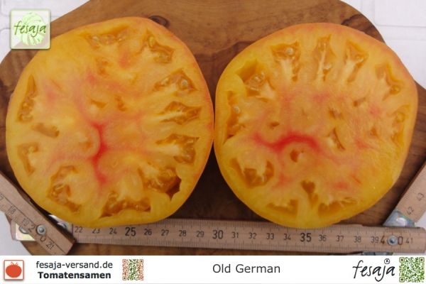 Tomate Old German
