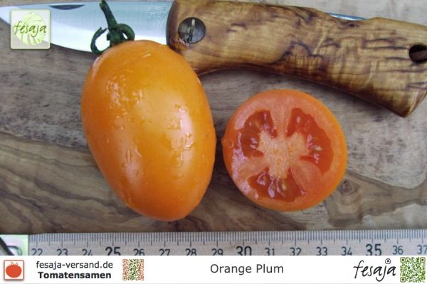 Tomate Orange Plum