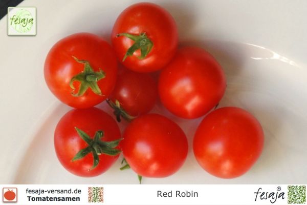 Tomate Red Robin