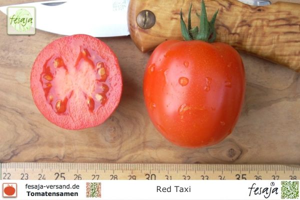 Tomate Red Taxi